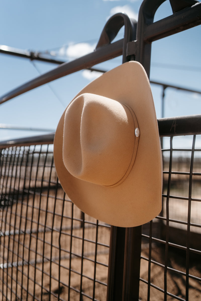 Oat Hat | 20X