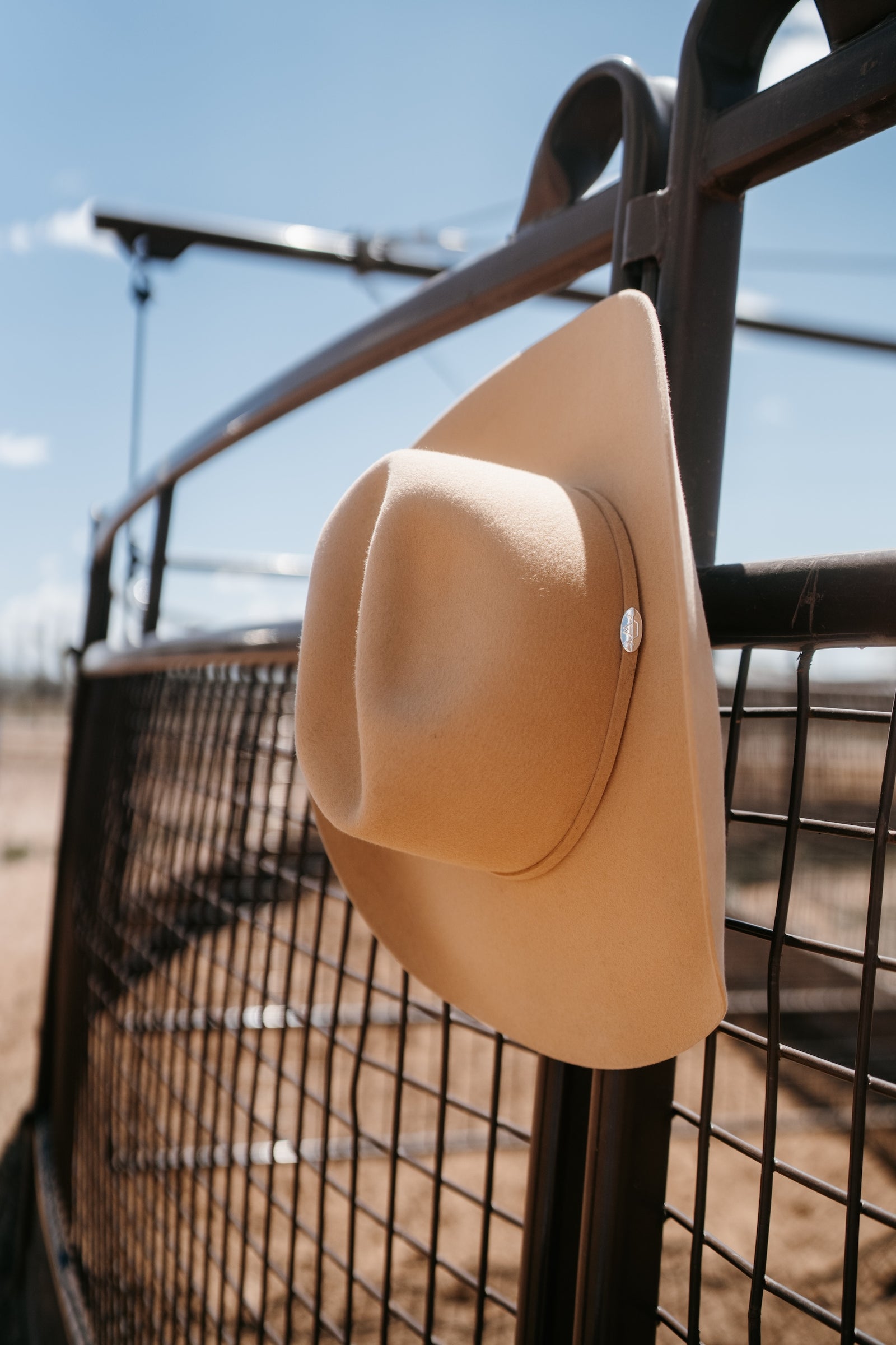 Oat Hat | 20X