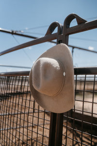 Sahara Grizzly Hat | 20X