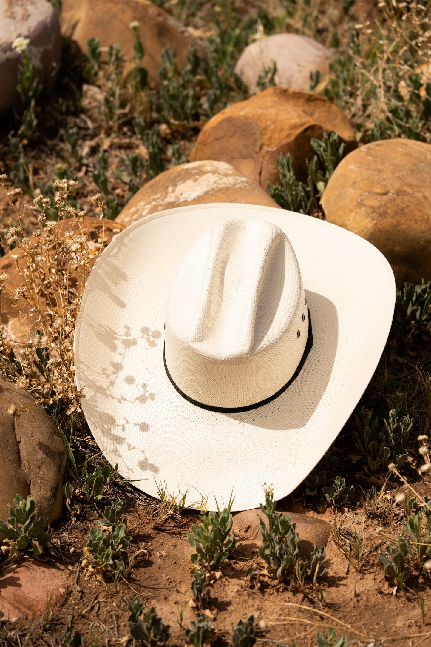 Jimmer | TWISTER Straw Hat