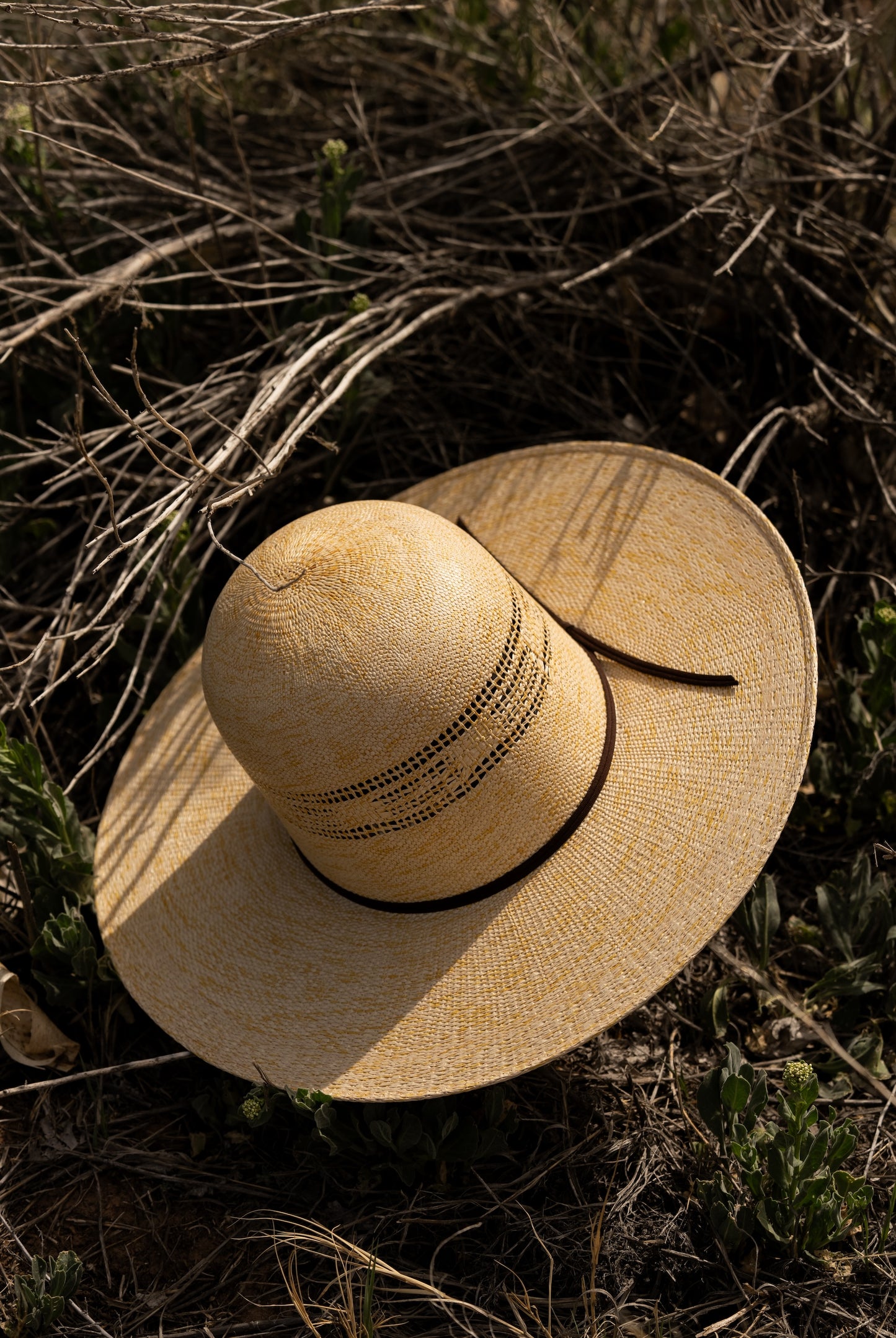 Dallas | TWISTER Straw Hat
