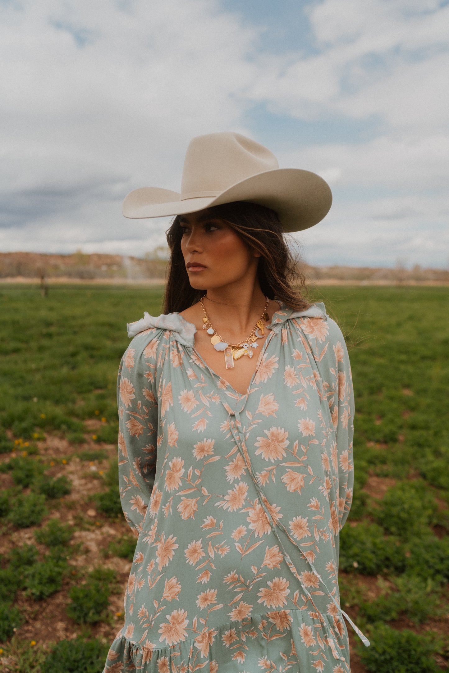 Silverbelly Hat | 50X