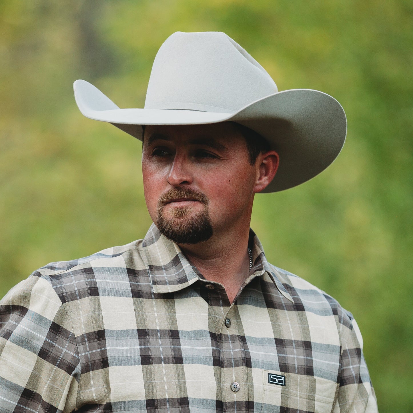 Silverbelly Hat | 50X