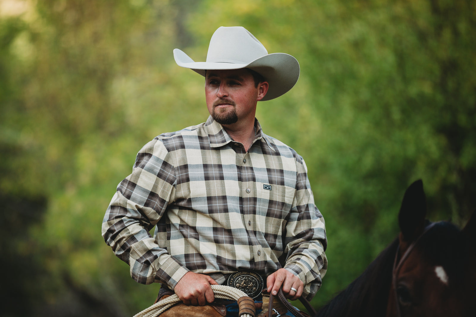 Silverbelly Hat | 50X